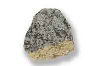 M 02537
<br/>
<br/>
<em></em>